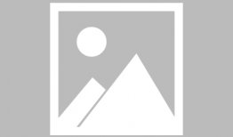 娱乐圈吃瓜鹅,揭秘明星背后的故事与真相